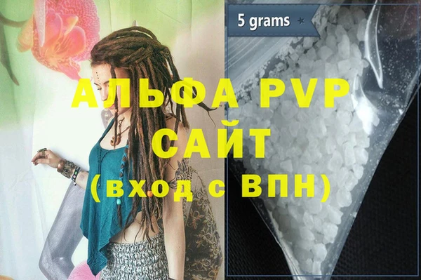 PSILOCYBIN Богданович