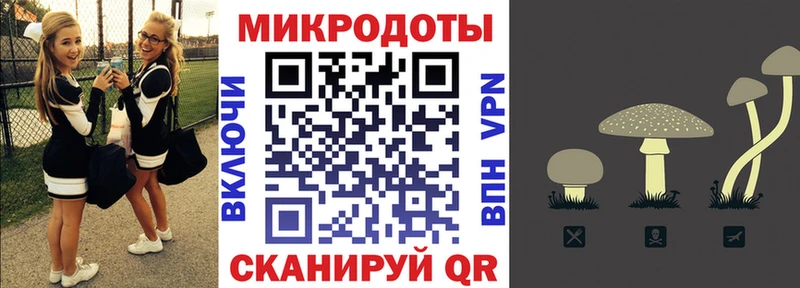 Галлюциногенные грибы Magic Shrooms  Вяземский 